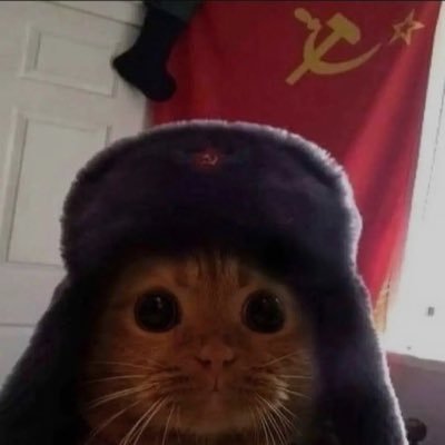 SyOmerr's profile picture. alive.