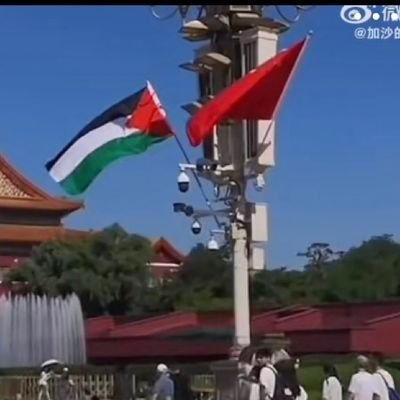 victimsofz66265's profile picture. RT =\= endorsement