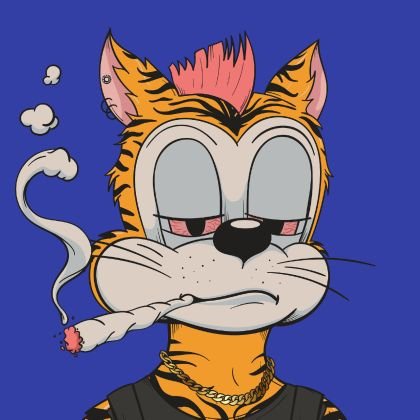 mortezazedd's profile picture. a crypto lover