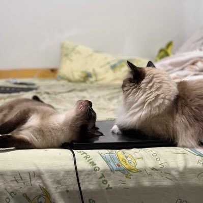 gloriayun10199's profile picture. 