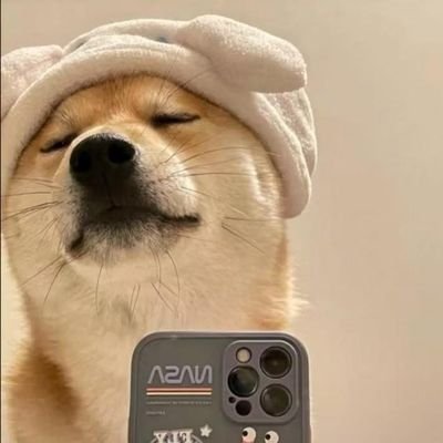 MQ_Jeff_Zhang's profile picture. 