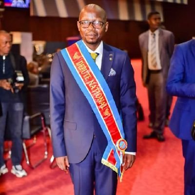 Acteur politique et Président du parti FRPI/C.Social démocrate,du giron lumumbiste, et dévoué à la cause de sa patrie la RDC.
Libre penseur et Philanthrope.