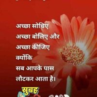 alok kumar (@alok37alokkumar) 's Twitter Profile