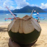 Wiko Raharjo (@cyberfrogz) 's Twitter Profile
