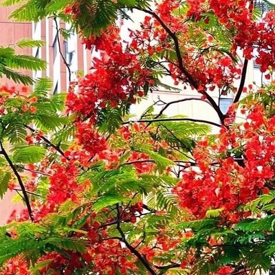 tesheng22's profile picture. 