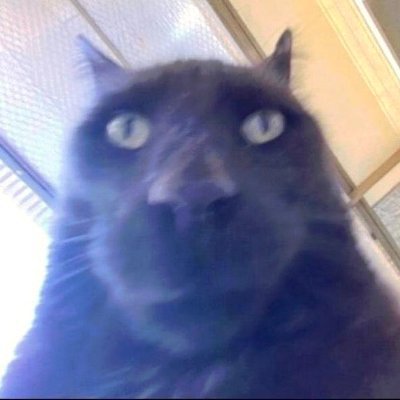 KarenMa80212499's profile picture. 