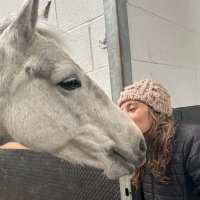 Marisa Signora (@marisasignora) 's Twitter Profile Photo