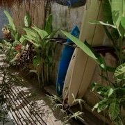 Heyheypatty26's profile picture. 