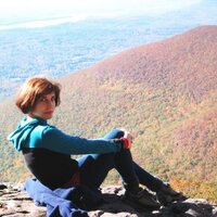 CathyLewis (@cslewispr) 's Twitter Profile