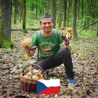 Radoslav Čech (@mushroomman000) 's Twitter Profile