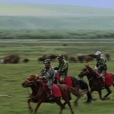 zheng_bu79955's profile picture. 