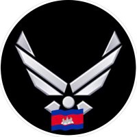 USAF Veteran ✈️ (@bluensx) 's Twitter Profile