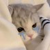 akungabut cmiww (@c35981cmiww) Twitter profile photo akungabut cmiww (@c35981cmiww) Twitter profile photo