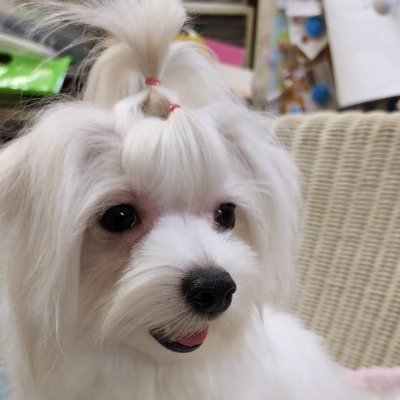 とある会社の代表やりながら、SES事業もやっております!SES企業様も情報交換していただける方はぜひ!