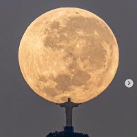 My .02 (@davidwe43477832) 's Twitter Profile Photo