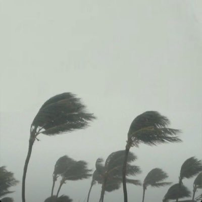 Kevka's profile picture. 