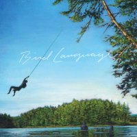 Bird Language (@birdlanguagema) 's Twitter Profile