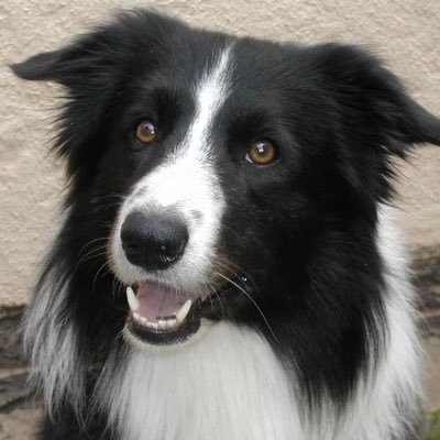 danhaybale's profile picture. Love music, films, games and food