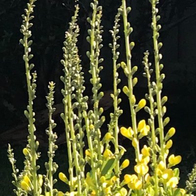 transylvanialuv's profile picture. ENJOYING OUR BEAUTIFUL PLANET.