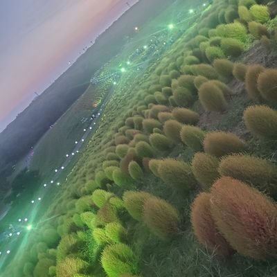 PisqCECHLD25ZPu's profile picture. 退屈なおじさんです😅
何の変哲もないけど、毎日生きてます(笑)
なので、たまーに呟きます🎵
趣味は釣りだったけど、最近行けてないので趣味じゃなくなっちゃったかな😅
今は何が趣味なんだろ❓
最近の流行り知らないので、誰かDMで教えて下さい❗
関東北部住み、既婚者ですがよろしくお願いします。