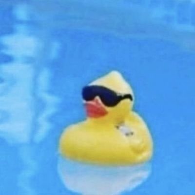 the Duckさんのプロフィール画像