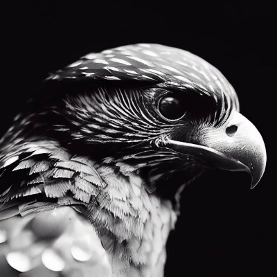 xavier_96oti's profile picture. Christ is all in all for me