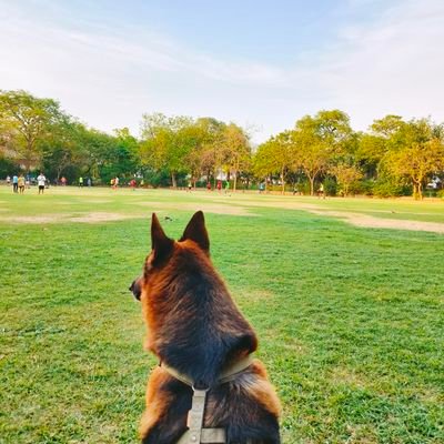 lakhanbirs's profile picture. 