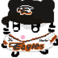 양갱🦅 (@hwahwa0402) 's Twitter Profile