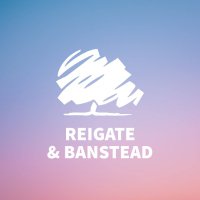 ReigateConservatives (@rbconservative) 's Twitter Profile