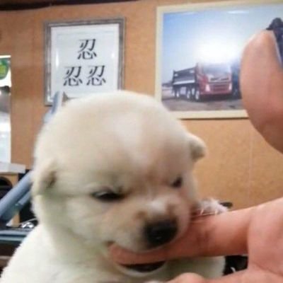 beabuib's profile picture. ⠀⠀⠀⠀ เด้งเนยดิ่วะ # # 😛😛🌚