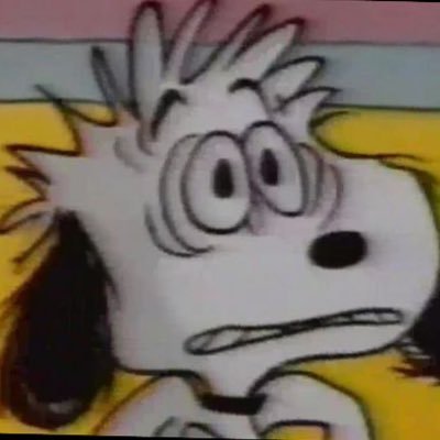 samgawronski's profile picture. 