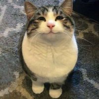 JengAteno (@jengateno) 's Twitter Profile