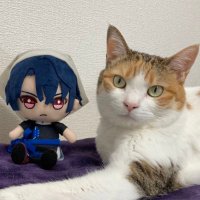 ねこ (@hanae_mhyk) 's Twitter Profile