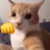Wukong (@wukungz) Twitter profile photo Wukong (@wukungz) Twitter profile photo