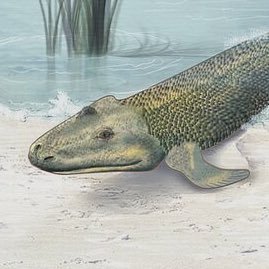 antaro_cs's profile picture. 