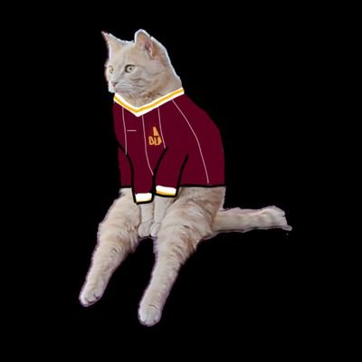 yo_soy_jorge__'s profile picture. Y tengo aguante 🤎💛
