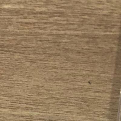 hackerinc69's profile picture. 