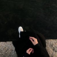 jingga (@jinggaaesthetic) 's Twitter Profile Photo