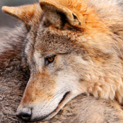 EmmaDungan1386's profile picture. 