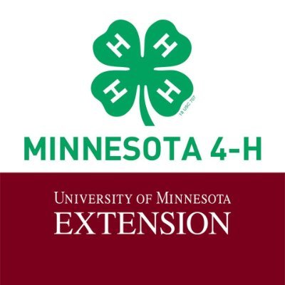 We provide hands-on learning opportunities for young people in Minnesota.