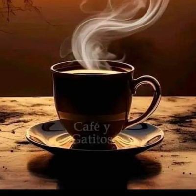 DidiBasurto's profile picture. 