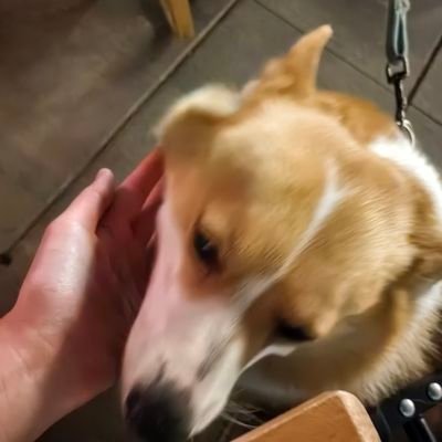 pvpik38149693's profile picture. From China 🇨🇳 主GOT7💚 JimmySea💜💙磕泰日皆可互关 无雷