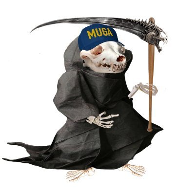 battlespud1's profile picture. From the movie “Italian Job” (2003)

“If there's one thing I know, it's never to mess with mother nature, mother in-laws, and mother freaking Ukrainians.”