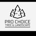 prochoicetree (@prochoicetree) Twitter profile photo prochoicetree (@prochoicetree) Twitter profile photo