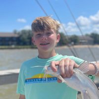 Will (@251willc) 's Twitter Profile