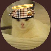 Juno🌈 (@chavcat) 's Twitter Profile
