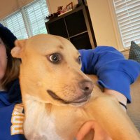 Recovering Republican 🇺🇸 (@recreppa) 's Twitter Profile