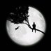 Blue Moon (@arbinbobila) Twitter profile photo Blue Moon (@arbinbobila) Twitter profile photo