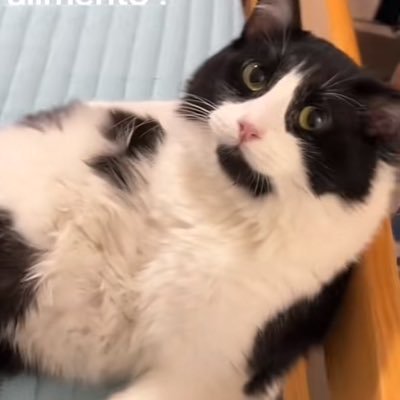 nazisi2121's profile picture. Buenos maes soy un streamer de Costa Rica gracias a todos los el apoyo. Agradecer de corazón el cariño que le dan a mis redes, los quiero mucho 🫂🇨🇷