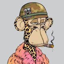 Fatimoh598818's profile picture. 9K9ZYDQH